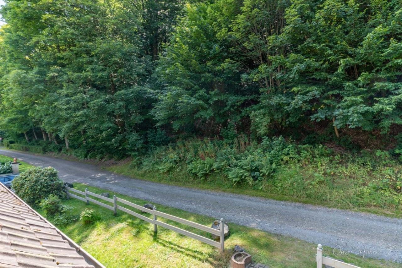 Ferienwohnung Am Waldrand Bad Laasphe Eksteriør billede